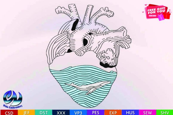 Heart Anatomy Dolphin Design: 10 Formats Review